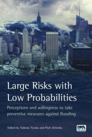 Large Risks with Low Probabilities: Perceptions and willingness to take preventive measures against flooding