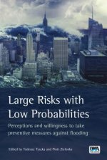 Large Risks with Low Probabilities: Perceptions and willingness to take preventive measures against flooding