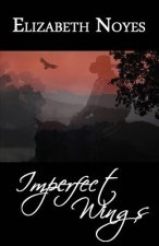 Imperfect Wings