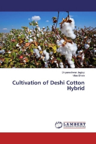 Cultivation of Deshi Cotton Hybrid
