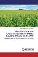 Identification and Characterization of MLND Causing MCMV and SCMV