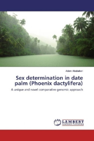 Sex determination in date palm (Phoenix dactylifera)