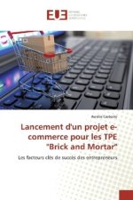Lancement d'un projet e-commerce pour les TPE 