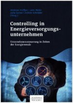 Controlling in Energieversorgungsunternehmen