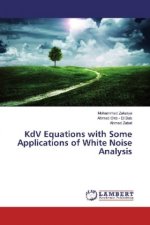 KdV Equations with Some Applications of White Noise Analysis