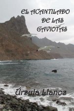 El acantilado de las gaviotas