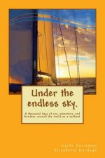 Under the endless sky. A thousand days of sea, adventure, and freedom: around the world on a sailboat.
