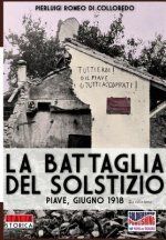 battaglia del Solstizio