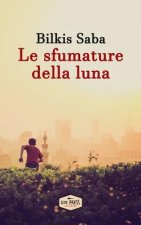 Le sfumature della luna