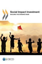 Social impact investment