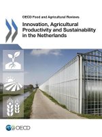 Innovation, agricultural productivity and sustainability in the Netherlands