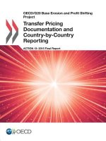 Transfer pricing documentation and country-by-country reporting