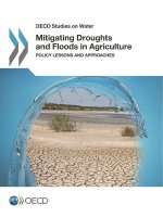 Mitigating droughts and floods in agriculture
