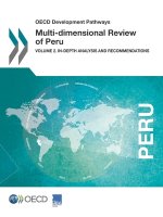 Multi-dimensional review of Peru