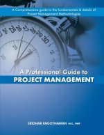 A Professional Guide to Project Management