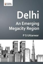 Delhi: An Emerging Megacity Region