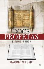 Doce profetas