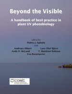 Beyond the Visible: A handbook of best practice in plant UV photobiology