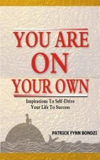You Are On Your Own: Inspirations To Self-Drive Your Life To Success