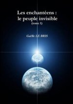 Les Enchanteens: Le Peuple Invisible (Tome 1)