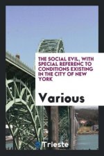 Social Evil, with Special Referenc to Conditions Existing in the City of New York