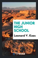 Junior High School