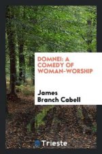 Domnei