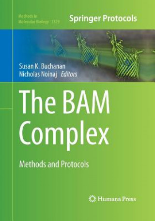 BAM Complex