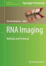 RNA Imaging