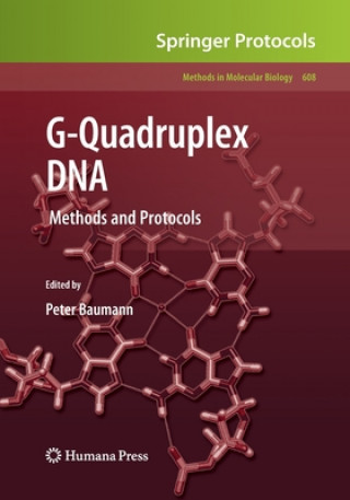 G-Quadruplex DNA