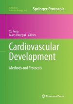 Cardiovascular Development