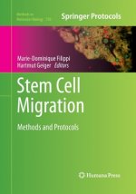 Stem Cell Migration