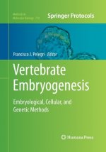 Vertebrate Embryogenesis