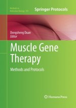 Muscle Gene Therapy