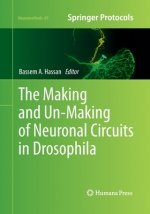 Making and Un-Making of Neuronal Circuits in Drosophila