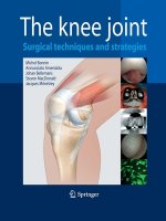 Knee Joint