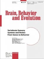 Vertebrate Sensory Systems and Brains: From Genes to Behavior