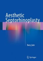 Aesthetic Septorhinoplasty