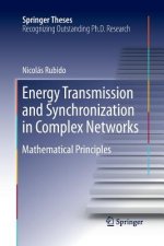 Energy Transmission and Synchronization in Complex Networks