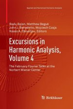 Excursions in Harmonic Analysis, Volume 4