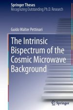 Intrinsic Bispectrum of the Cosmic Microwave Background