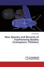 New Species and Records of Featherwing Beetles (Coleoptera: Ptiliidae)