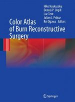 Color Atlas of Burn Reconstructive Surgery
