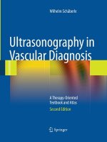 Ultrasonography in Vascular Diagnosis