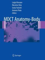 MDCT Anatomy - Body