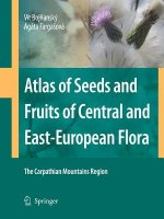 Atlas of Seeds and Fruits of Central and East-European Flora