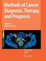 Methods of Cancer Diagnosis, Therapy and Prognosis