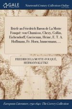 Briefe an Friedrich Baron de La Motte Fouque