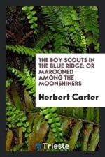 Boy Scouts in the Blue Ridge