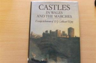 Castles in Wales and the Marches
